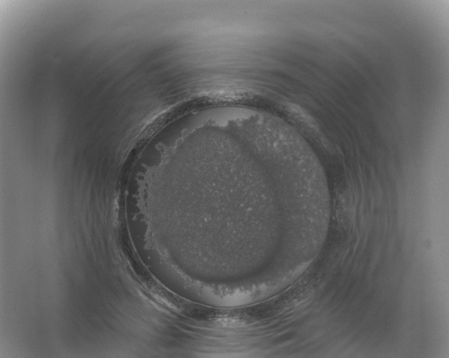 X0000066970596200604142143