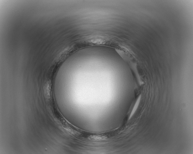 X0000066970597200604142143