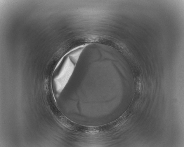 X0000066970598200604142143