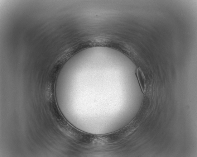 X0000066970599200604142143