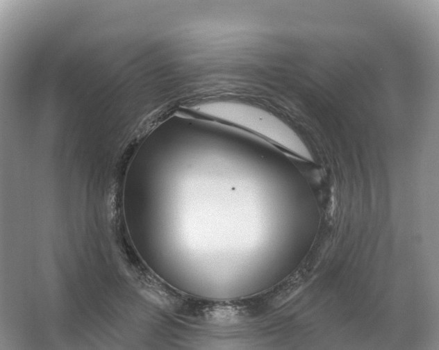 X0000066970600200604142143