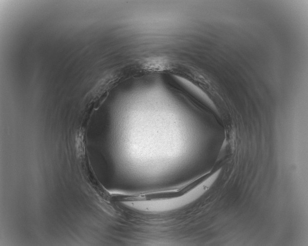 X0000066970601200604142143