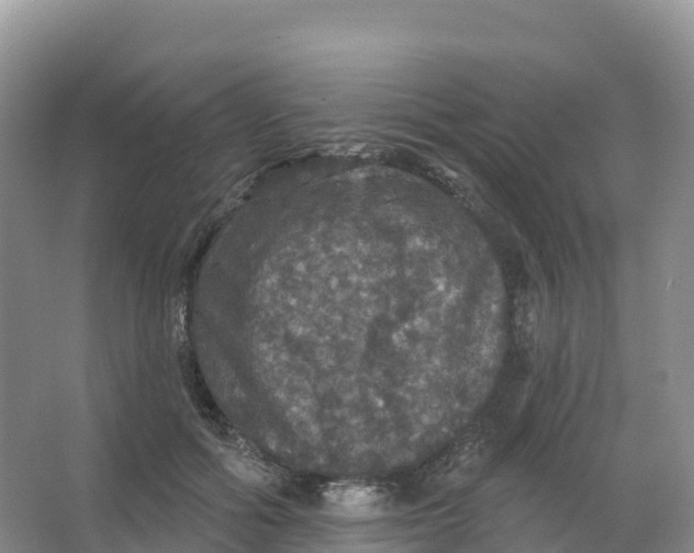 X0000066970602200604142143