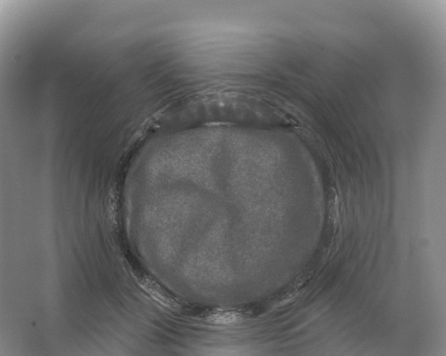 X0000066970604200604142143