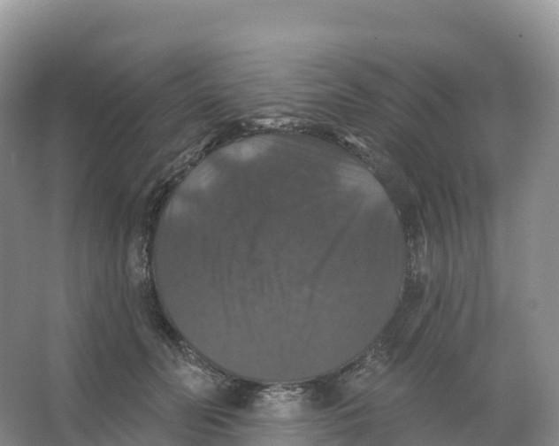 X0000066970606200604142143