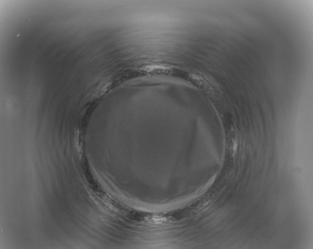 X0000066970607200604142143