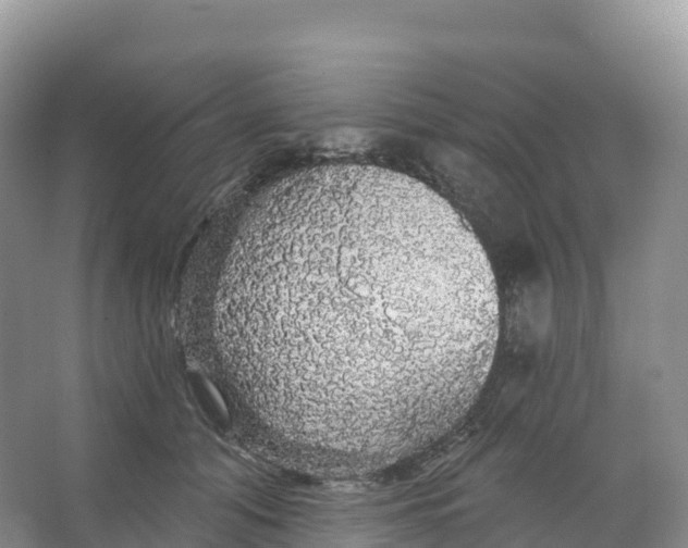 X0000066970608200604142142