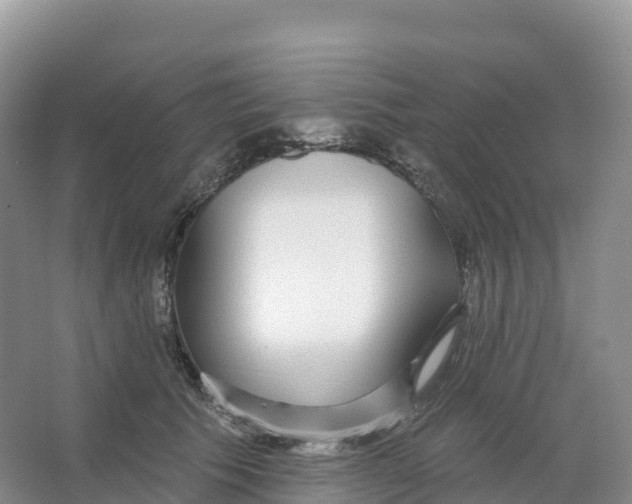 X0000066970609200604142142