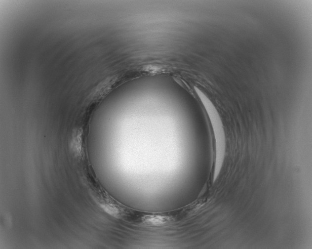 X0000066970611200604142142