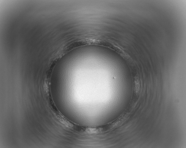 X0000066970613200604142142