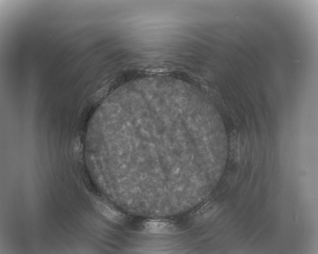 X0000066970614200604142142