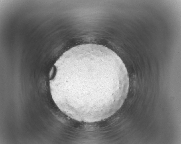 X0000066970615200604142142