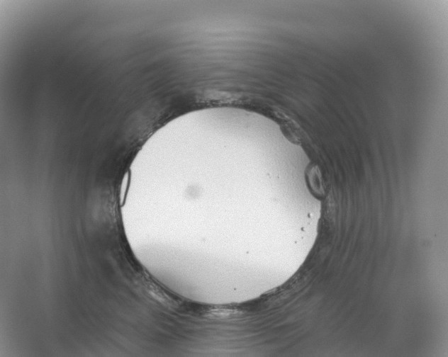 X0000066970617200604142142