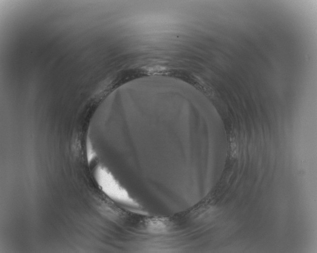 X0000066970618200604142142