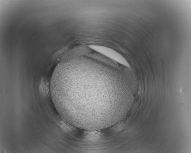 X0000066970621200604142142