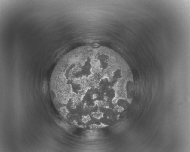 X0000066970623200604142142