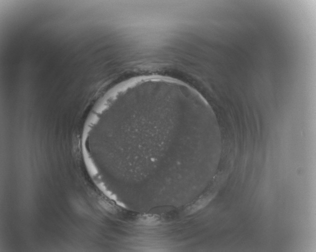 X0000066970624200604142142