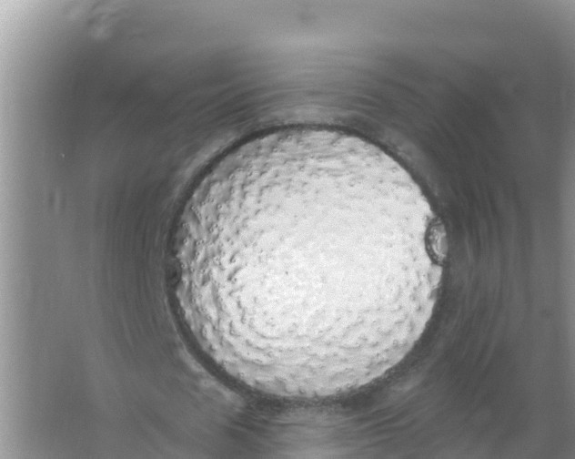 X0000066970625200604142141