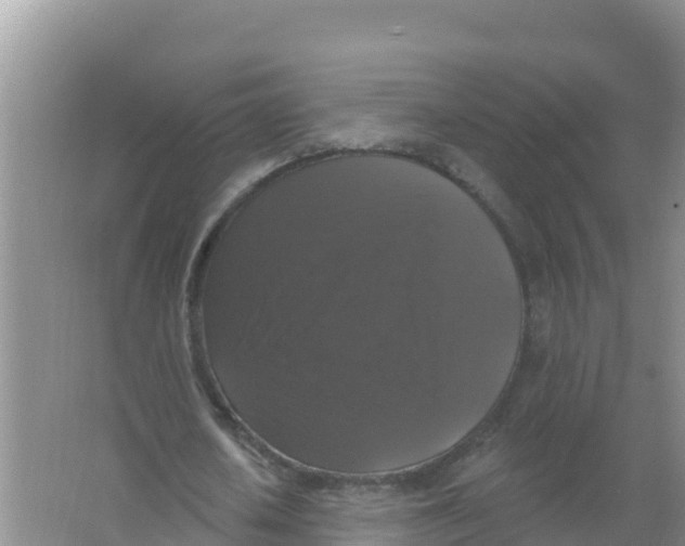 X0000066970626200604142141