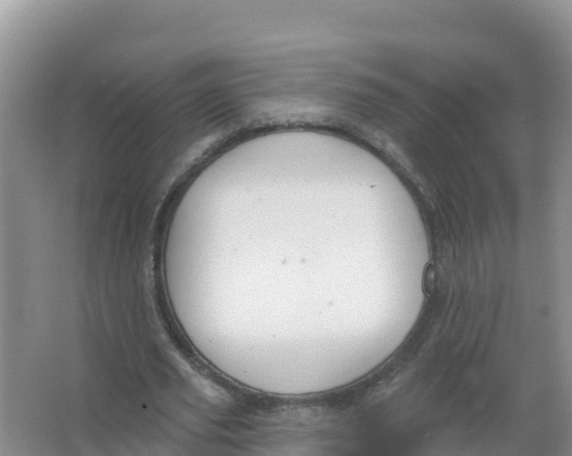 X0000066970629200604142141