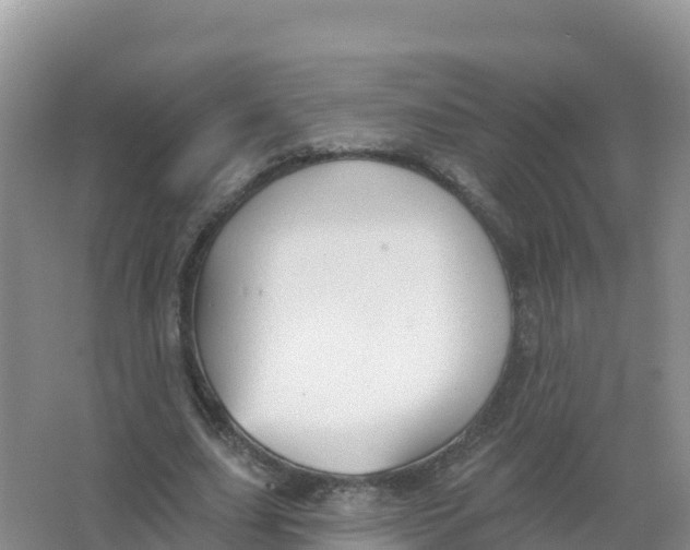 X0000066970631200604142142