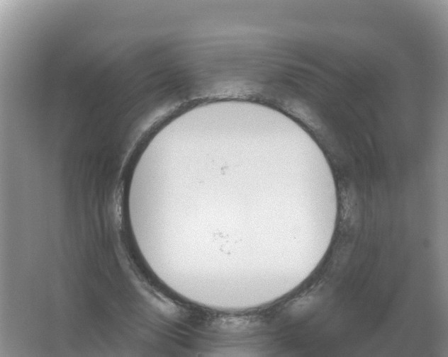 X0000066970632200604142142