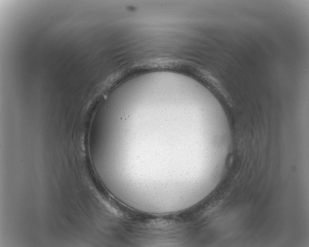 X0000066970633200604142142