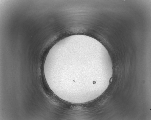 X0000066970635200604142142