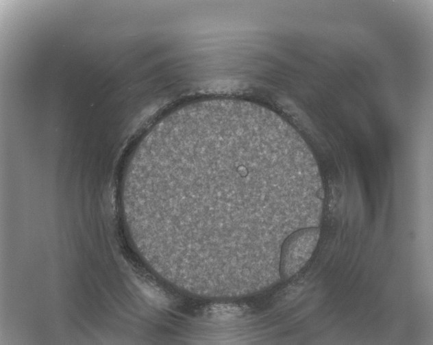 X0000066970636200604142142