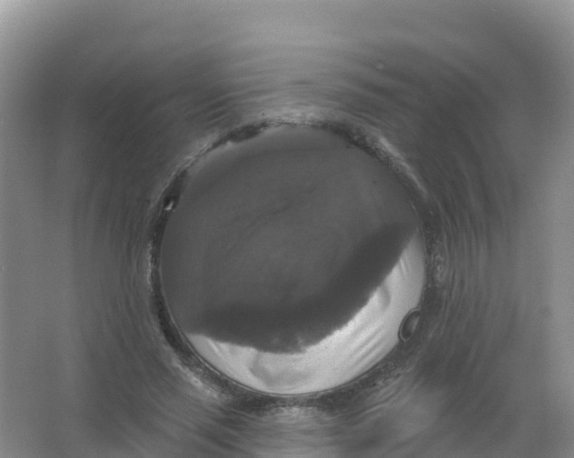 X0000066970637200604142142