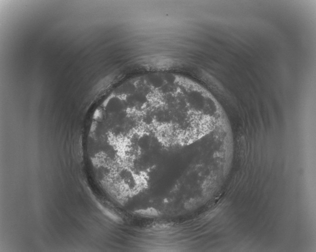 X0000066970638200604142142