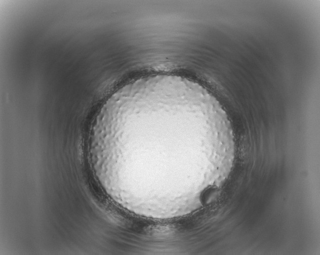 X0000066970639200604142142