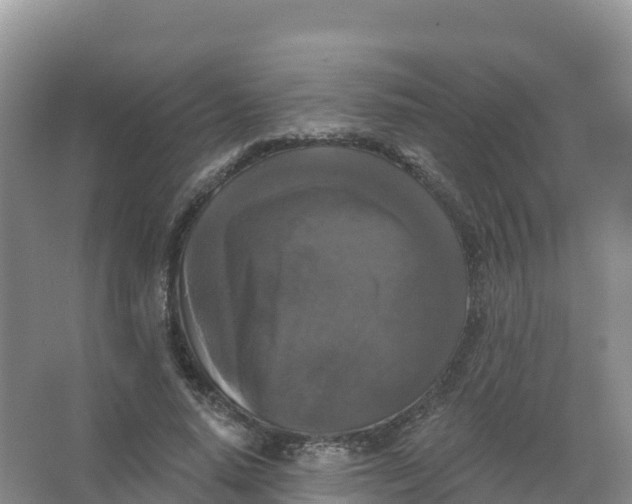 X0000066970640200604142142