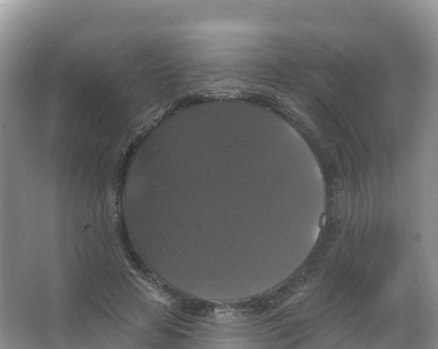 X0000066970641200604142142