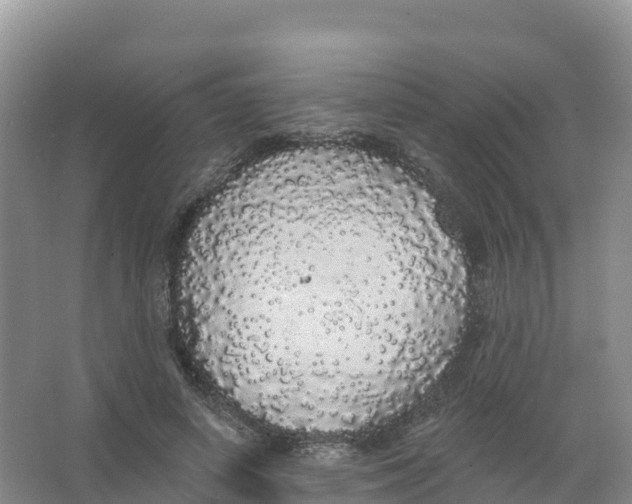 X0000066970642200604142142