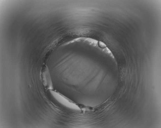 X0000066970644200604142142