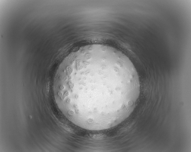 X0000066970645200604142142