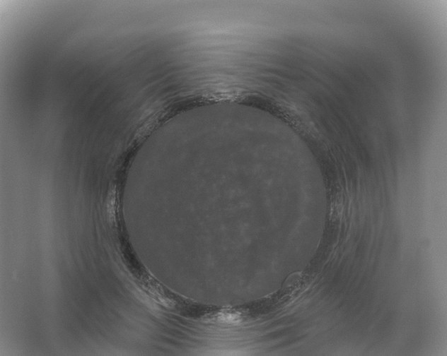 X0000066970647200604142142