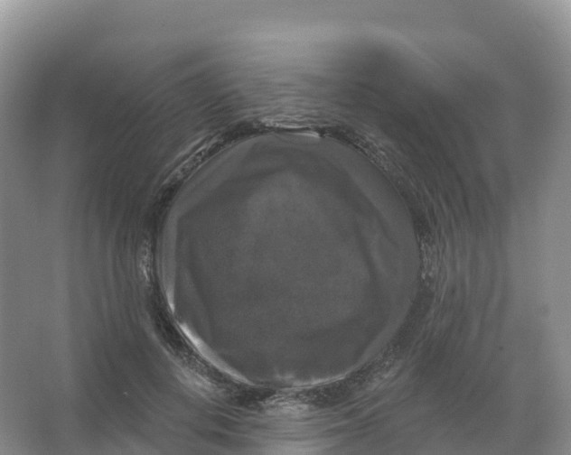 X0000066970648200604142142