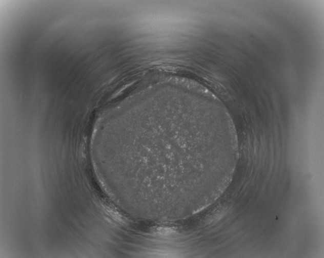 X0000066970649200604142142