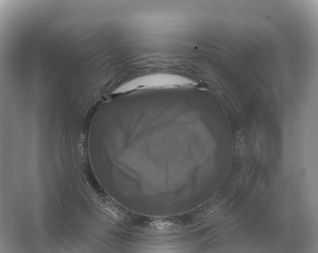 X0000066970650200604142142