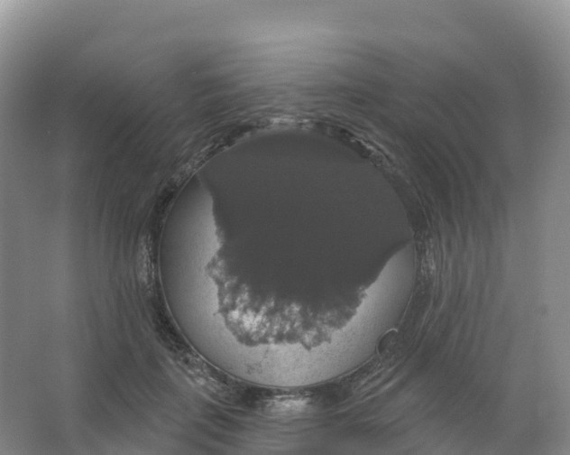 X0000066970651200604142142