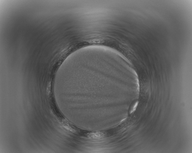 X0000066970652200604142142