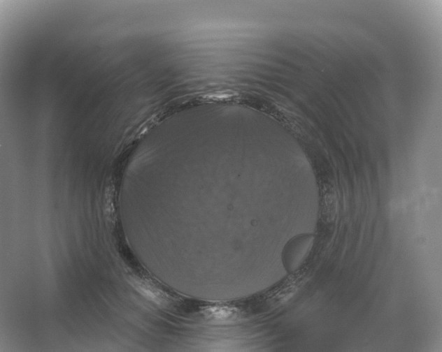 X0000066970654200604142142