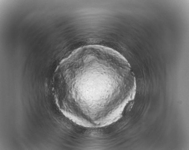 X0000066970655200604142142