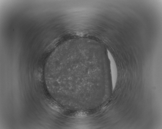 X0000066970656200604142142