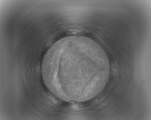 X0000066970657200604142142