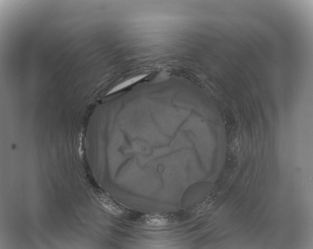 X0000066970658200604142142