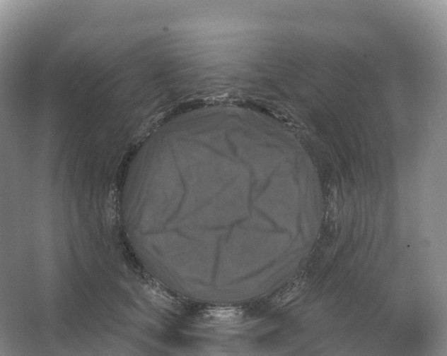 X0000066970659200604142142