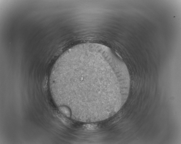 X0000066970660200604142142